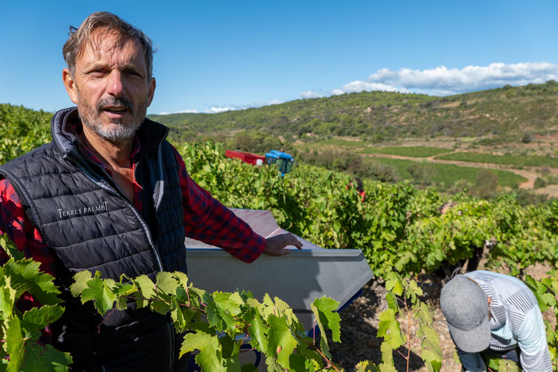 P1196310 falmet vendanges 2024 logo8