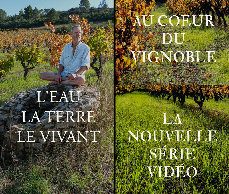 Mini série vidéo : Au coeur du Vignoble